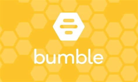 バンブル 意味|英語「bumble」の意味・使い方・読み方 